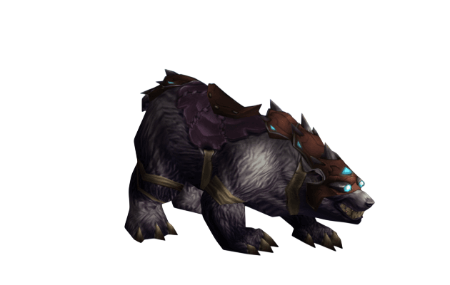 Black War Bear