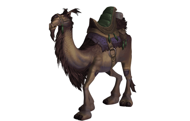 Brown Riding Camel