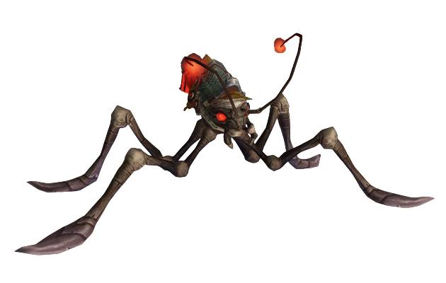 Crimson Water Strider