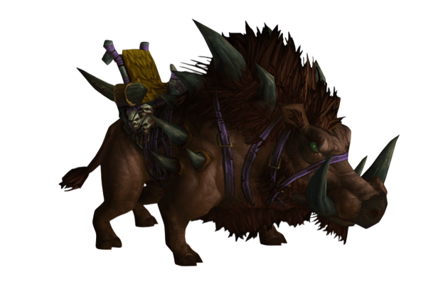Domesticated Razorback