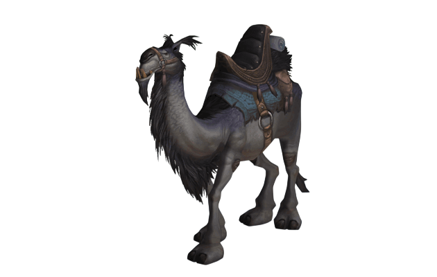 Grey Riding Camel