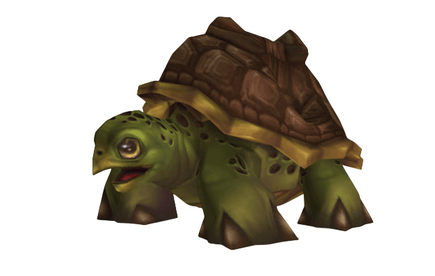 Riding Turtle
