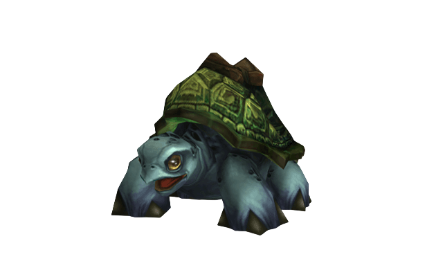 Sea Turtle