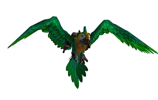 Squawks