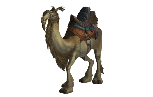 Tan Riding Camel